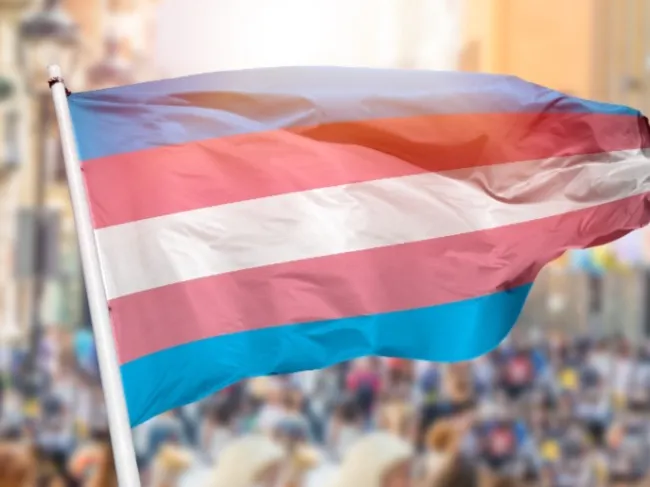 transgender flag